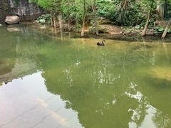 -广州市帽峰山景区
