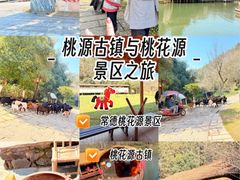 -常德桃花源景区