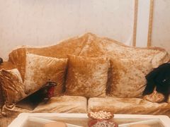 -怡清源安化黑茶(天山茶城店)