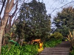 -七彩云南古滇温泉山庄
