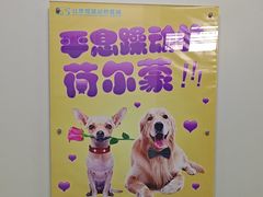 -北京观赏动物医院·24小时大型综合·猫专科·异宠专科