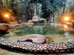 -天目湖涵田半山温泉