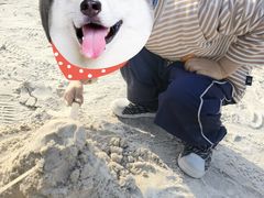 -滨湖塘西河公园