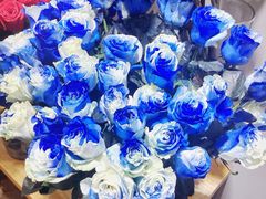 -双季花艺园艺市场(浦东店)