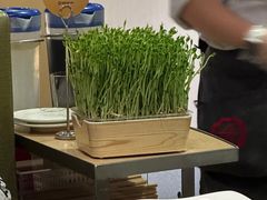 现剪现吃豌豆苗-海底捞火锅(杭州萧山宝龙广场店)