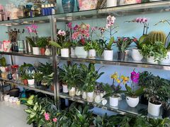 -花心思鲜花店(武昌徐东店)