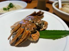 醉蟹-苏小柳手作点心(控江旭辉分院)