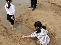 -大兴滨河森林公园