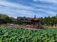 -稻香湖景欢乐岛温泉城堡