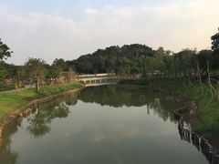 -王借岗森林公园