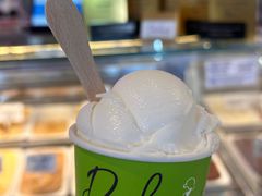 -Dooley's Premium Ice Cream