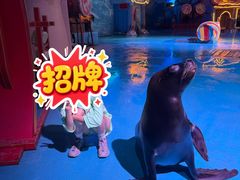 -大连圣亚海洋世界