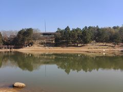 -南京市无想山景区