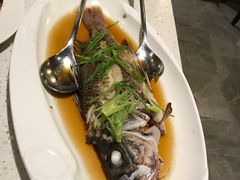 -Isla Sugbu Seafood City