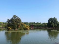 -大湾区中央湿地公园