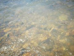 -楠溪江风景名胜区