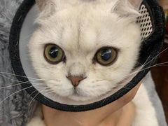 -美美宠物诊疗中心·异宠·骨科(滨江东信分院)