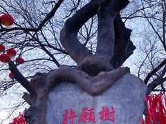 -八大处公园