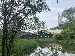 -西湖风景区-江洋畈生态公园