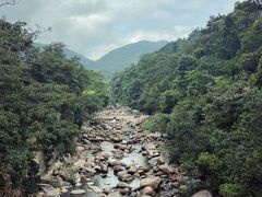 -海南热带雨林国家公园吊罗山景区