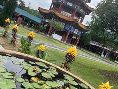 -天下玉苑