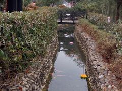 -三江森林温泉度假区