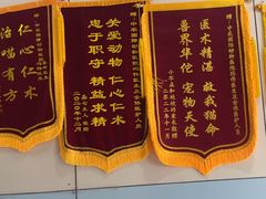 -中农国际动物医院24小时·猫科·骨科·急重症中心