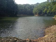 -缙云山景区