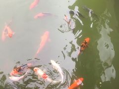 -花溪雨·森林餐厅(石基店)