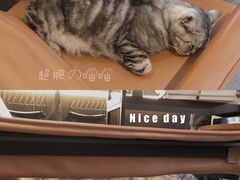 -25#COFFEE(古地石店)