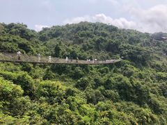 -亚龙湾热带天堂森林公园