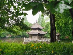 -习家池