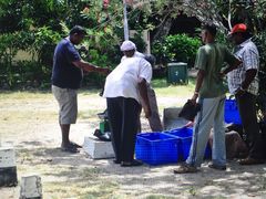 红顶教堂-红顶教堂