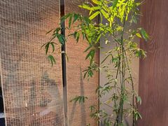 -本处·素食·融合料理(南油店)