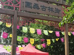 -御林古桑园