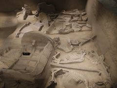 -洛阳周王城天子驾六博物馆