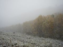 -灵山