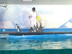-重庆欢乐海底世界