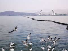 -小普陀
