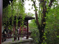 木栈道-焦山风景区