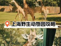 -上海野生动物园