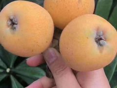 -太湖好灶头土菜馆(石公路店)