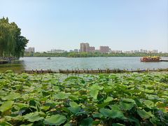 -济南大明湖景区