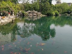 -教师之家赵家羊汤馆(东青龙街店)
