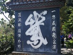 -靖西鹅泉风景区