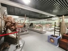 -北京中医药大学-中医药博物馆