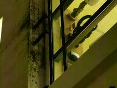 -三亚海棠湾万丽度假酒店