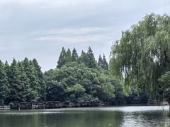 -乌镇西栅景区