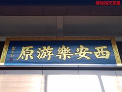 -西安乐游原
