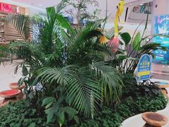 -凯德广场(学府店)